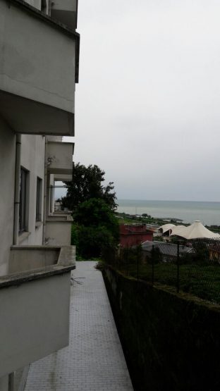 IMG_0061